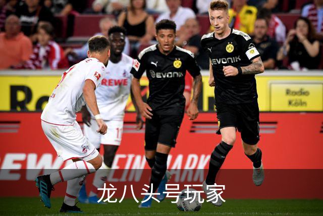 关于龙八头号玩家